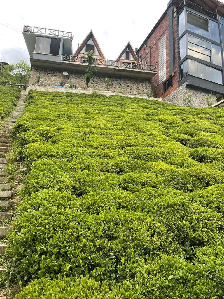 Purkinora Bungalov Camlihemsin ภายนอก รูปภาพ