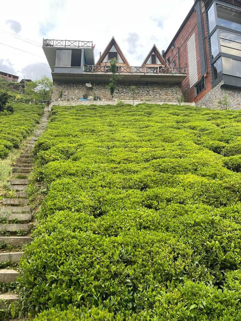 Purkinora Bungalov Camlihemsin ภายนอก รูปภาพ