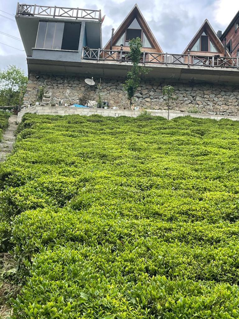 Purkinora Bungalov Camlihemsin ภายนอก รูปภาพ