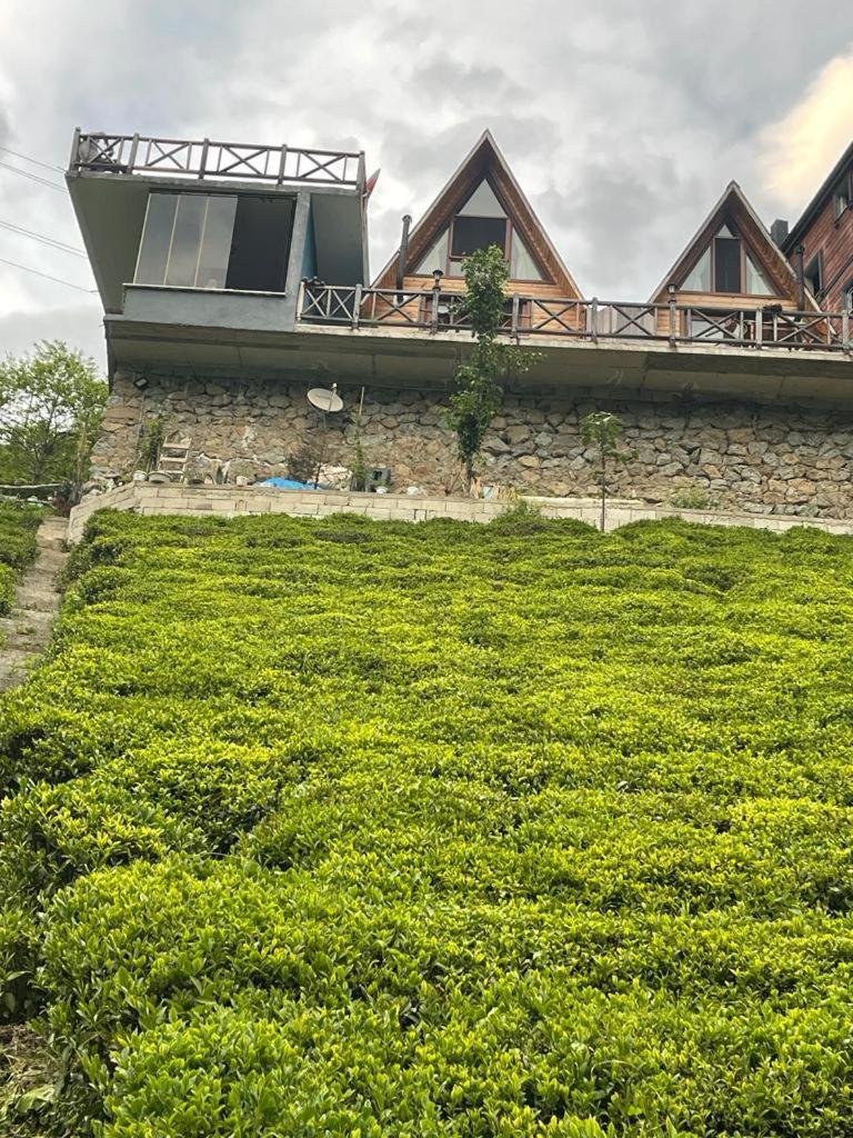 Purkinora Bungalov Camlihemsin ภายนอก รูปภาพ